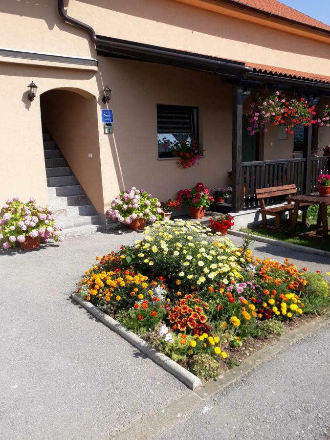 Guest House Vana Korenica Exterior foto